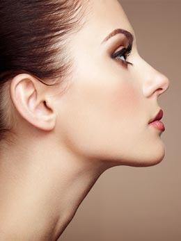 profil liege